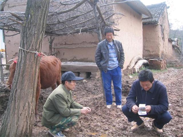 BJL平台集团